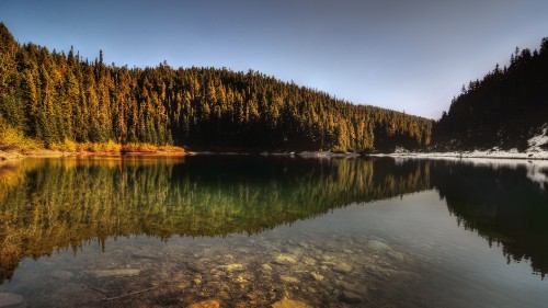 Image green trees beside body of water during daytime