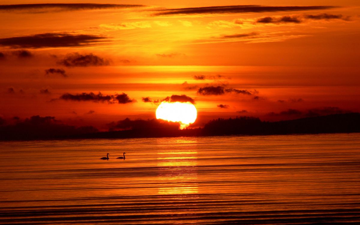 Plan D'eau au Coucher du Soleil. Wallpaper in 2560x1600 Resolution