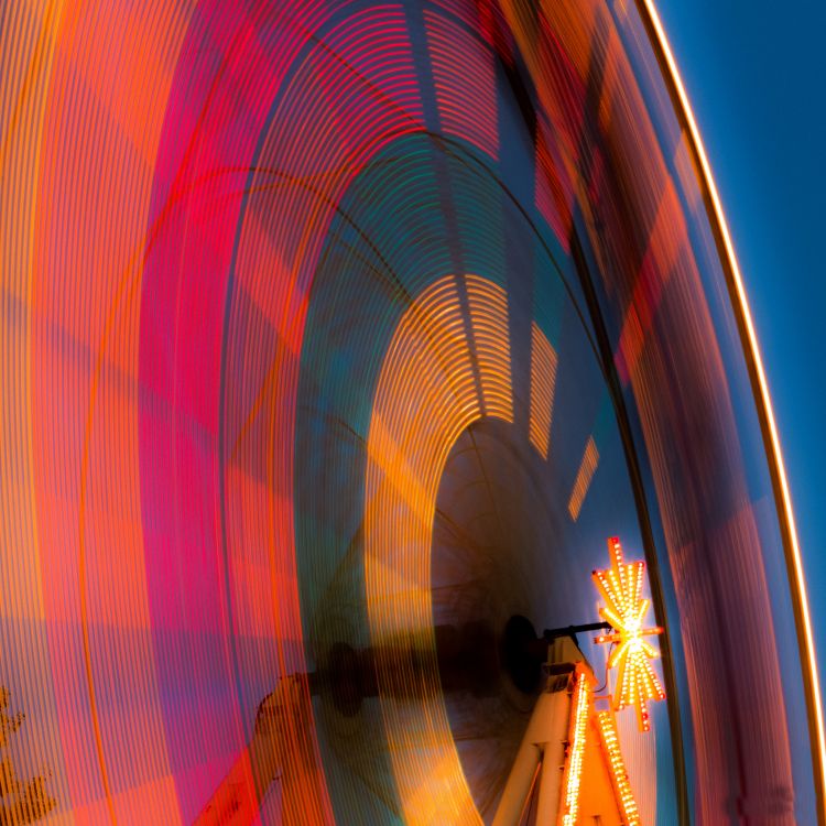 Pez Vela os Stock, Pez Vela, Android, Por lo Cual, Naranja. Wallpaper in 2048x2048 Resolution