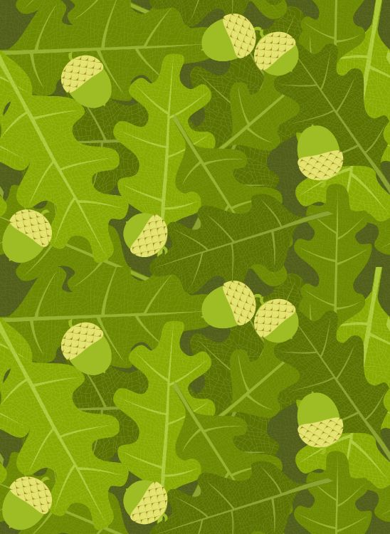 橡树, 绿色的, 伪装, 植物病理学, 飞机 壁纸 2237x3061 允许