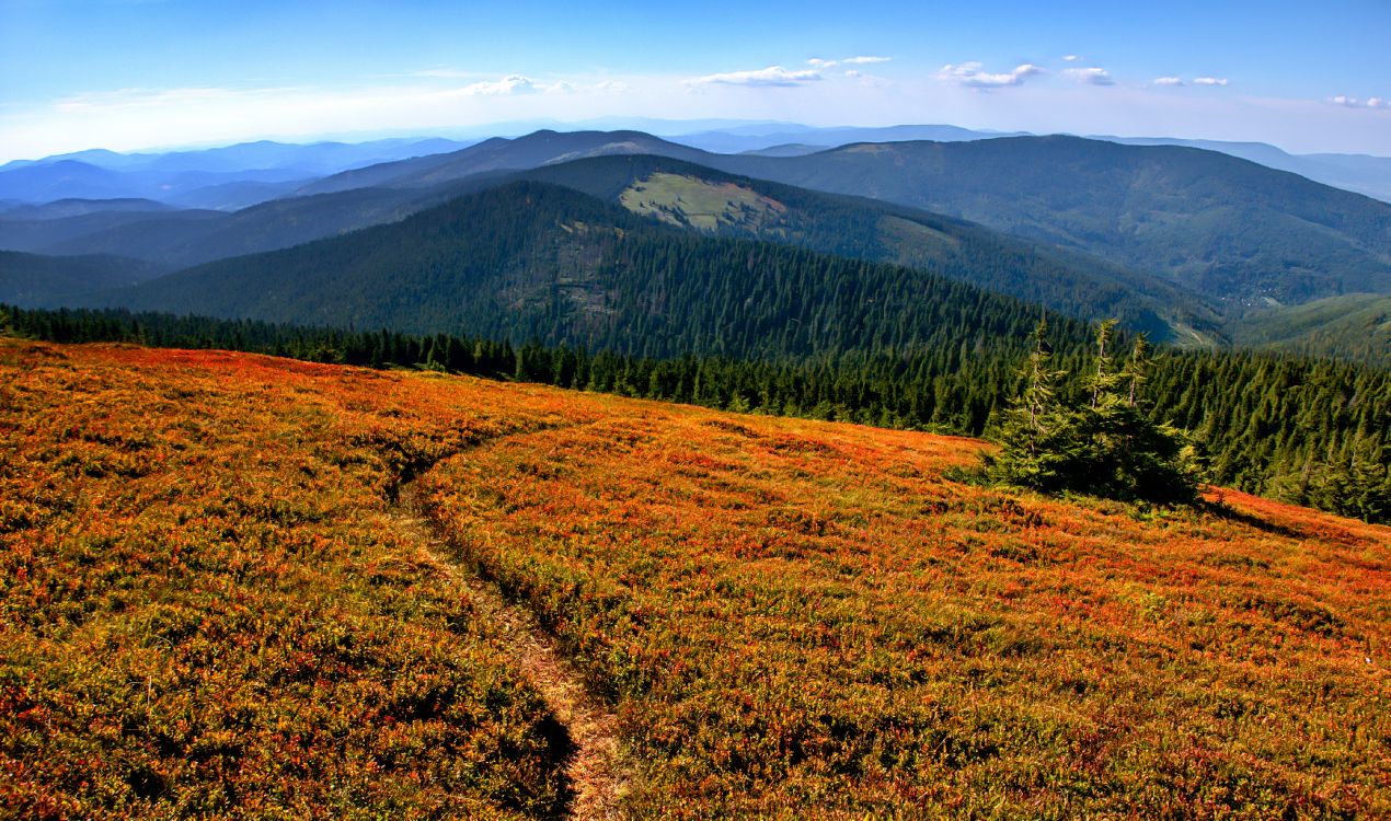 Wildnis, Pflanzen-Gemeinschaft, Natürlichen Umgebung, Naturlandschaft, Menschen in Der Natur. Wallpaper in 4282x2528 Resolution