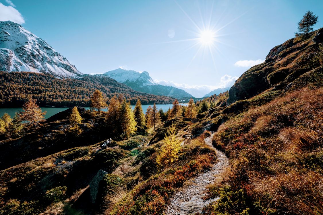 Nature, Merci Pour Les Vacances, L'écorégion, Paysage Naturel, Feuille. Wallpaper in 6000x4000 Resolution