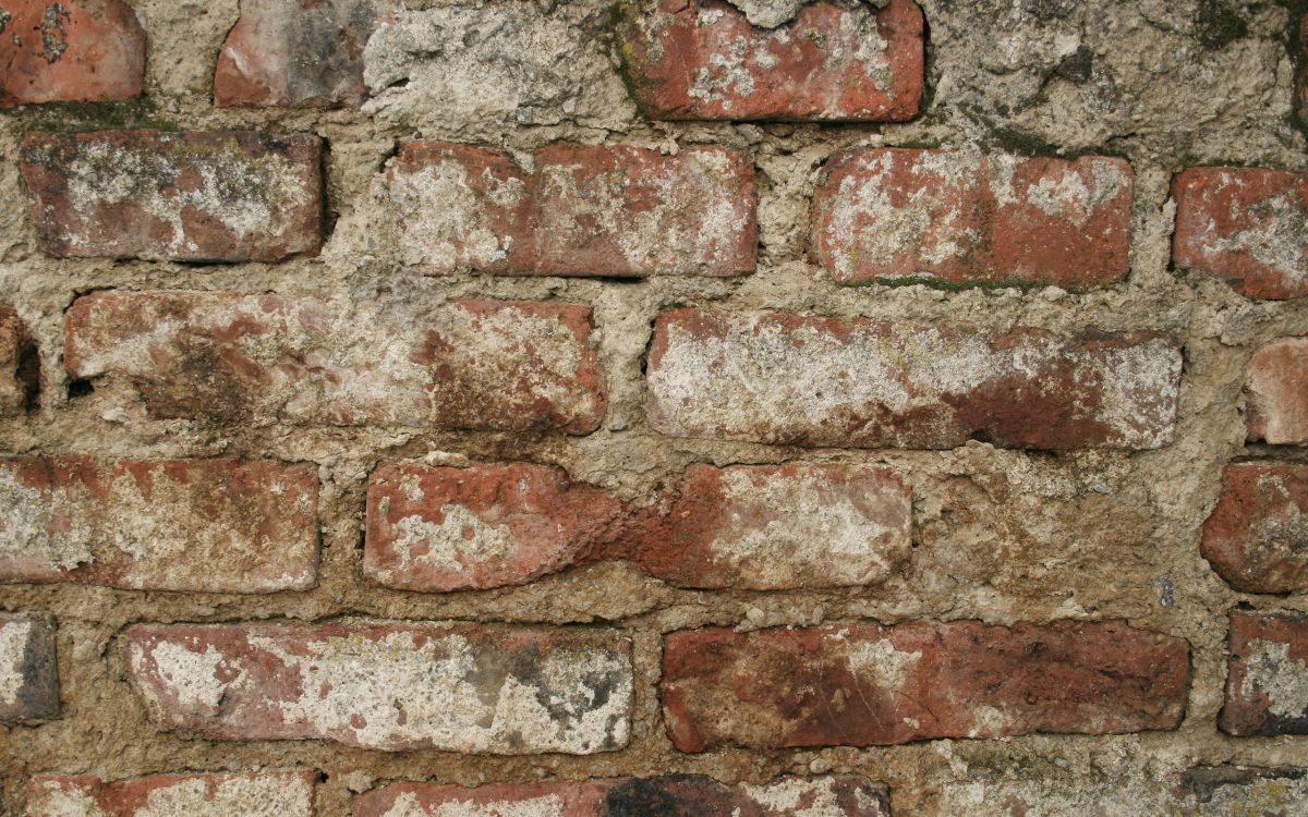 Brown and Gray Brick Wall. Wallpaper in 2560x1600 Resolution