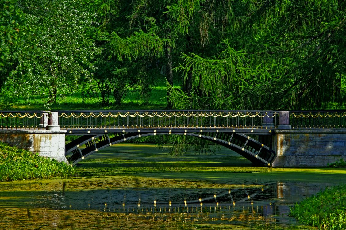 gray concrete bridge over river