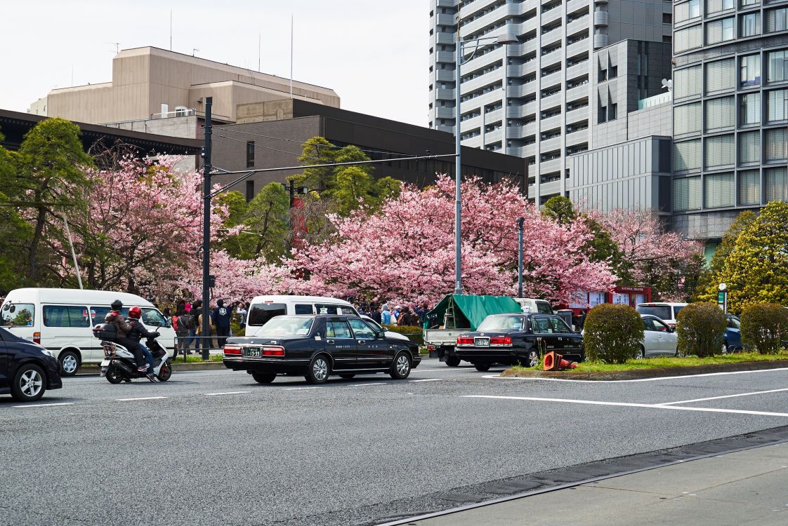 Voitures Garées Sur un Parking Près du Bâtiment Pendant la Journée. Wallpaper in 3000x2004 Resolution