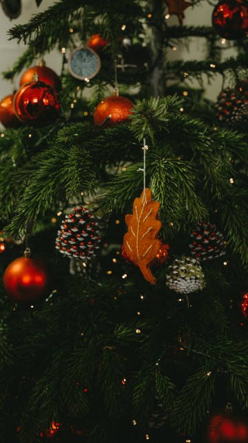 Image green christmas tree with red baubles