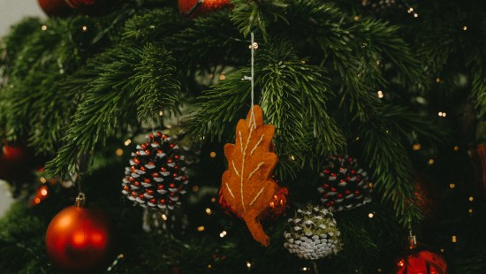 Image green christmas tree with red baubles
