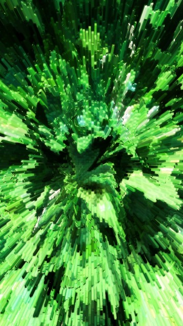 Image green pine tree in close up photography