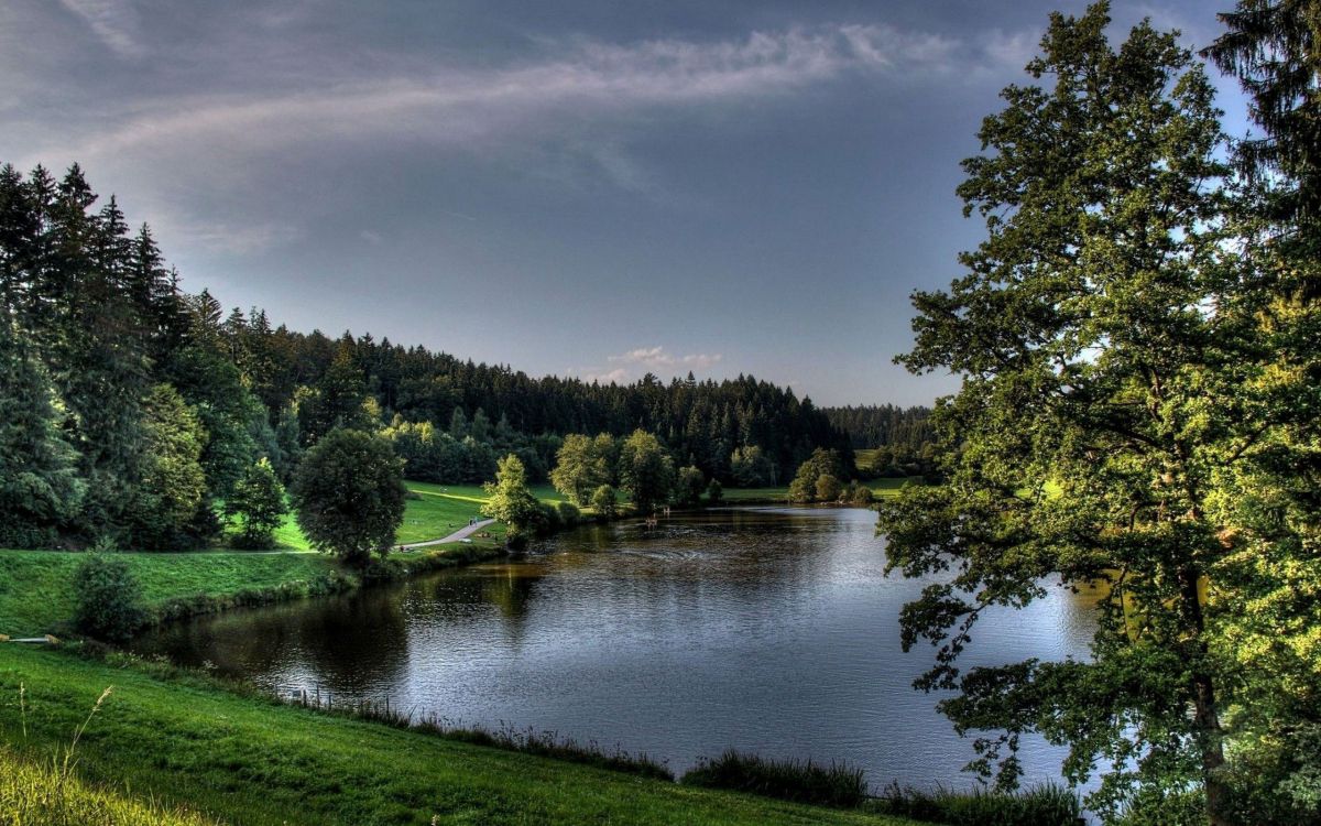 Grüne Bäume Neben Dem Fluss Unter Bewölktem Himmel Tagsüber. Wallpaper in 2560x1600 Resolution