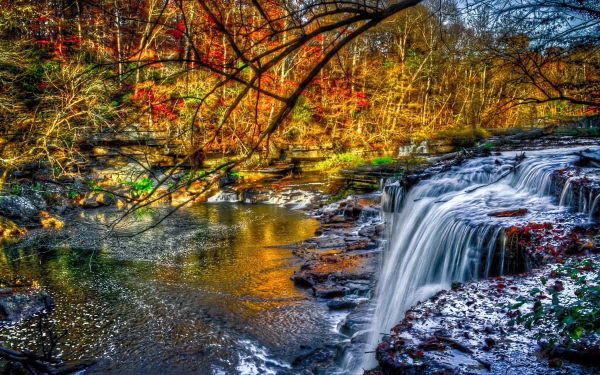 Wasser Fällt Mitten in Den Wald. Wallpaper in 2560x1600 Resolution