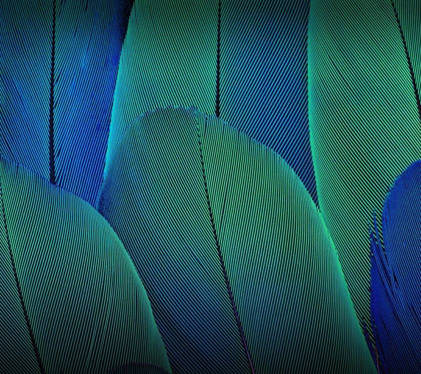 Moto G5s Plus, Motorola Moto g5 Plus, Motorola Moto G5s, Motorola Moto G4, Moto G. Wallpaper in 2160x1920 Resolution