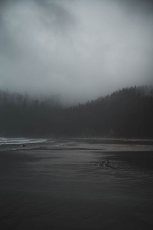 阴霾, 天空, 气氛, 雾, 早上 壁纸 5304x7952 允许