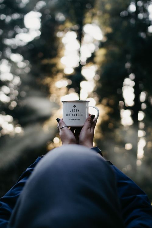 person holding white ceramic mug