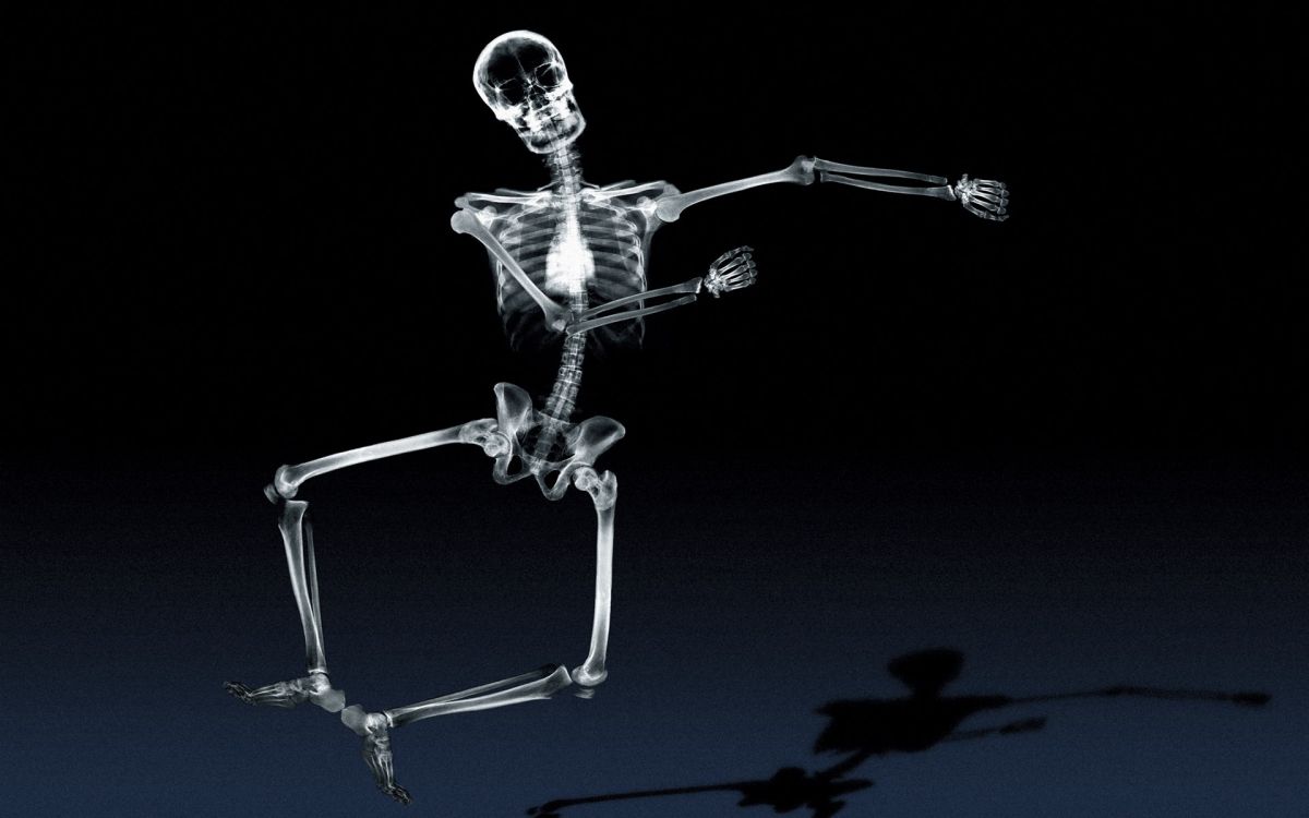 silver human skeleton with black background