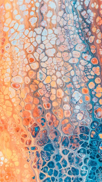 Image blue and white floral textile