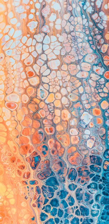 Image blue and white floral textile