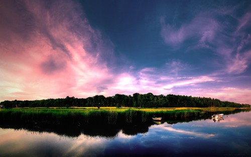 Image green trees beside lake under purple sky