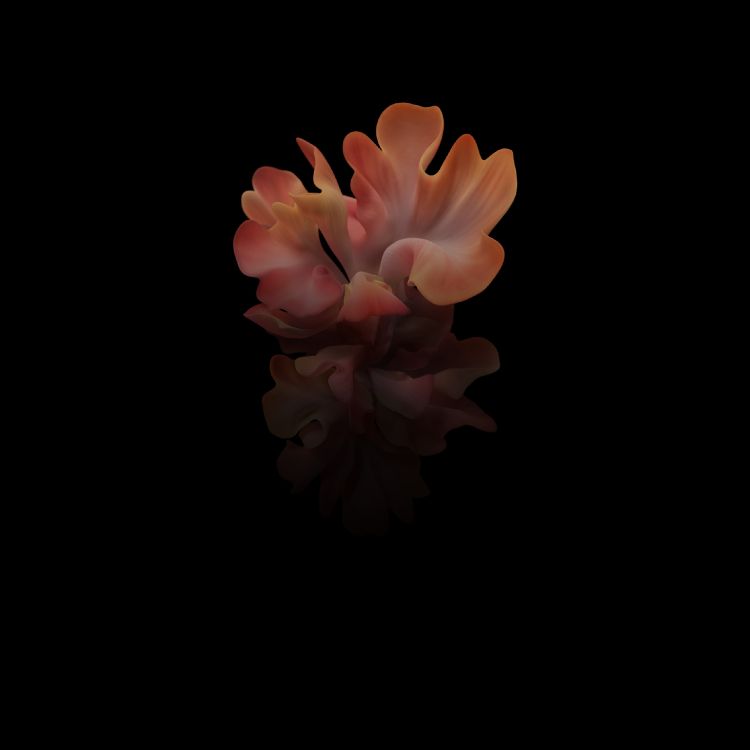 Samsung Galaxy, Samsung, Samsung Galaxy Z Flip, Freigeschaltet, Smartphone. Wallpaper in 2636x2636 Resolution