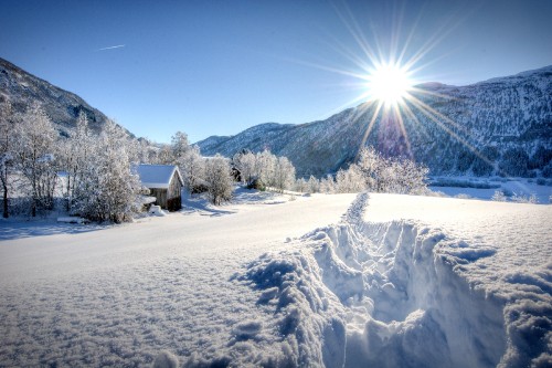 Image brown wooden house on snow covered ground during daytime