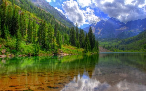 Image green trees near lake under white clouds and blue sky during daytime