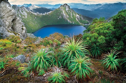 Image green palm tree near blue lake and mountain during daytime