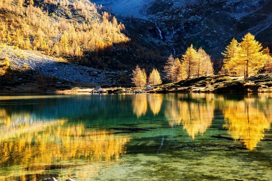 green trees beside lake during daytime