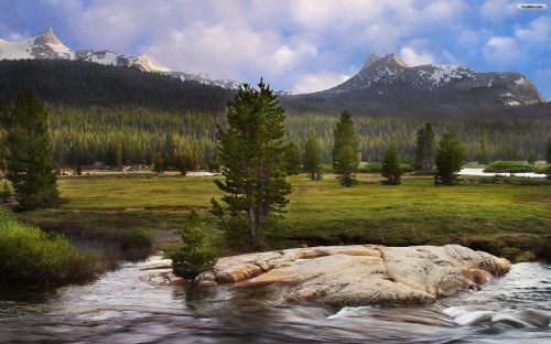 Image green pine trees near lake and mountain during daytime