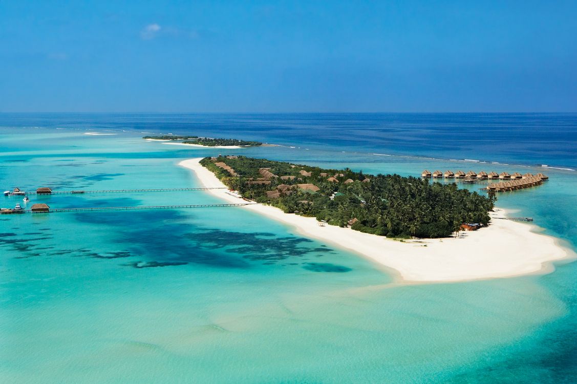 green and blue sea under blue sky during daytime