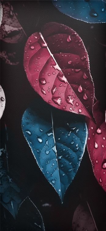 2024, Eau, Liquid, Pétale, Feuille. Wallpaper in 1080x2340 Resolution