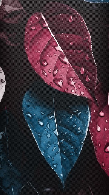 Image pattern, 2024, water, plant, liquid