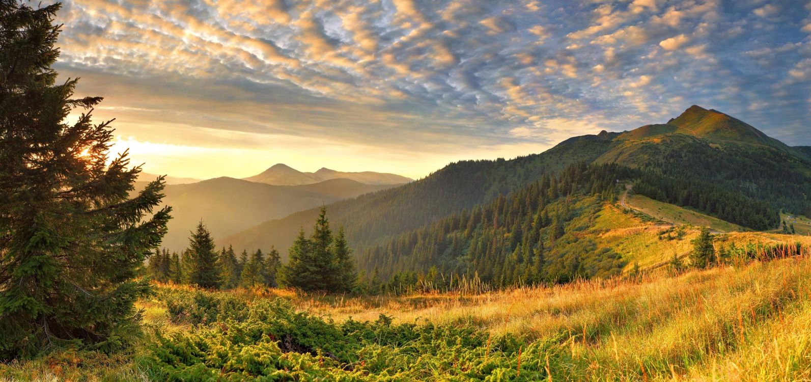 Grüne Wiese in Der Nähe Von Grünen Bäumen Und Bergen Tagsüber Mountains. Wallpaper in 3200x1506 Resolution