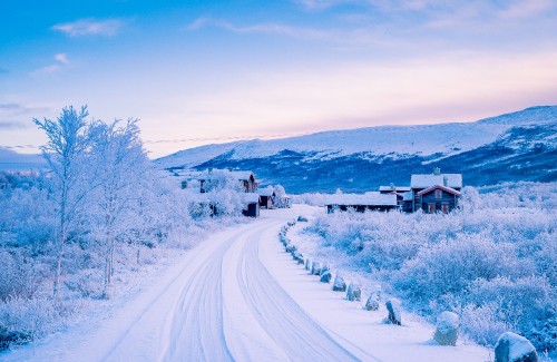 Image snow covered house near trees during daytime