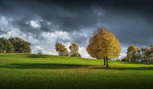 Image green grass field with trees under blue sky and white clouds during daytime