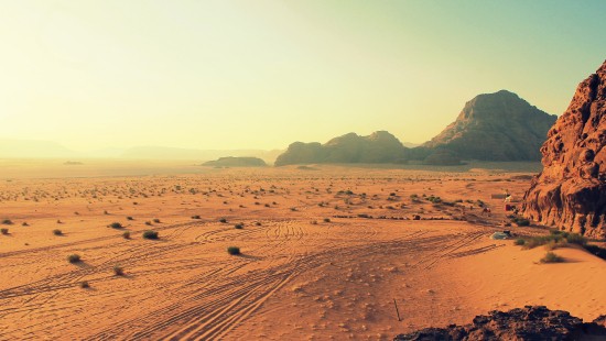 Image brown sand field during daytime