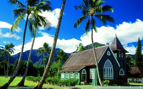 Image brown and white wooden house near palm tree under blue sky during daytime