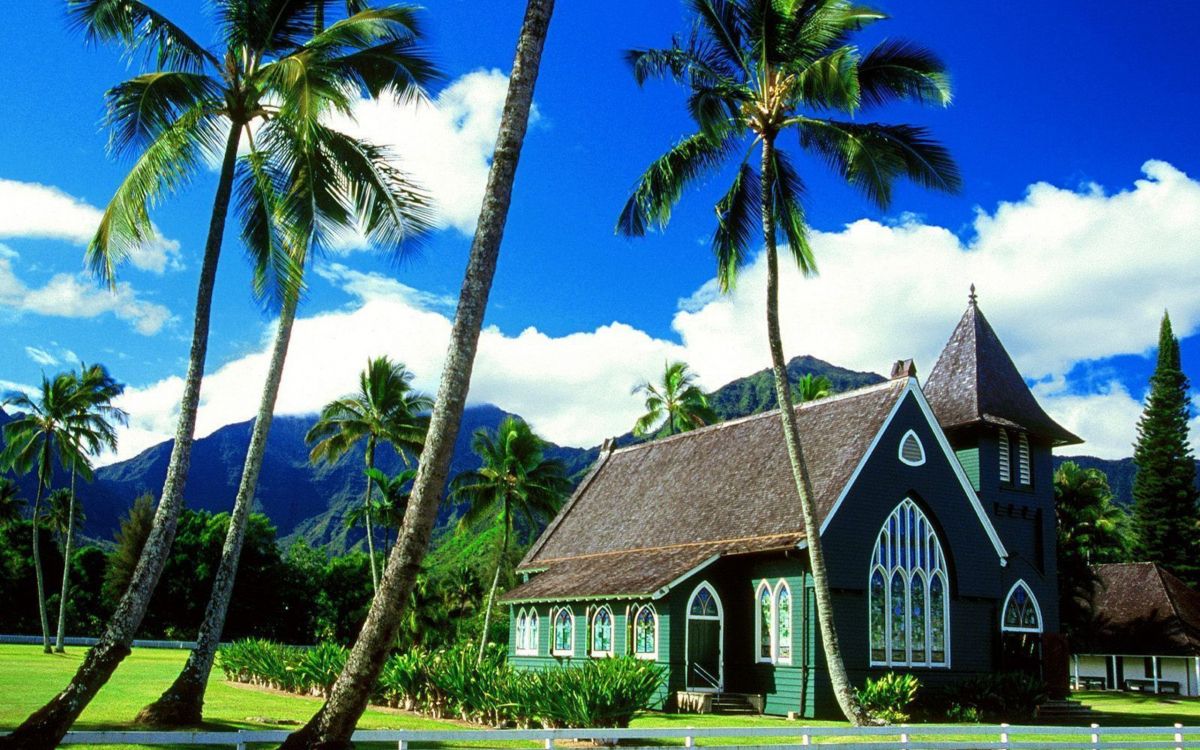 brown and white wooden house near palm tree under blue sky during daytime