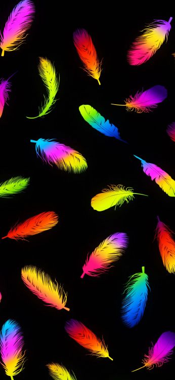 Licht, Malerei, Birds, Natur, Naturmaterialien. Wallpaper in 1080x2340 Resolution