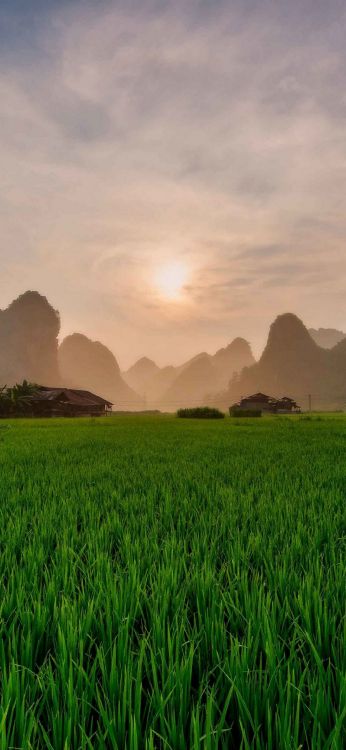 Feld, Smartphone, Natur, Naturlandschaft, Bergigen Landschaftsformen. Wallpaper in 1080x2340 Resolution