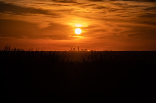 Image silhouette of grass during sunset