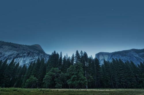 Image green pine trees near mountain under blue sky during daytime