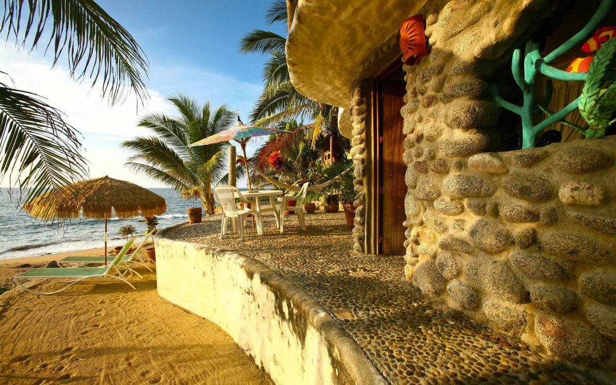 brown wooden chairs and table near palm trees during daytime