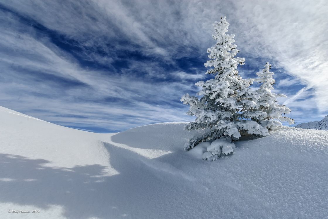 snow covered tree on snow covered field under blue sky and white clouds during daytime