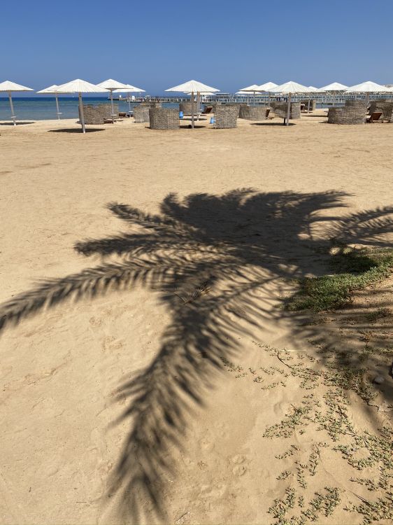 sand, shade, sunlight, beach, tent