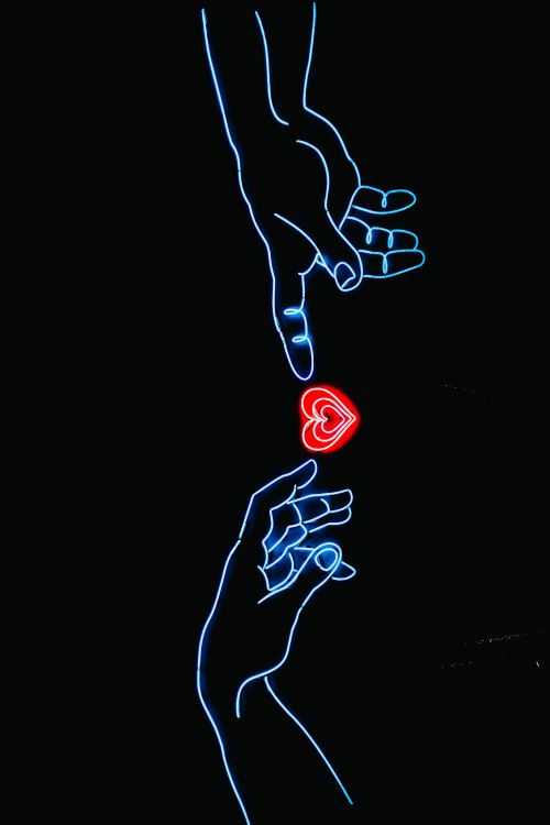 手心, 心脏, 人类的身体, 手势, 拇指 壁纸 4133x6199 允许