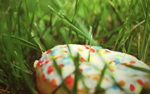 Image white and red strawberry on green grass