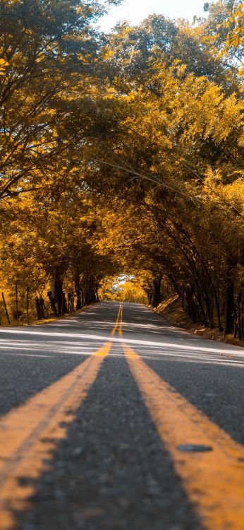 Teléfono, Carretera, Paisaje Natural, la Superficie de la Carretera, Infraestructura. Wallpaper in 1080x2340 Resolution