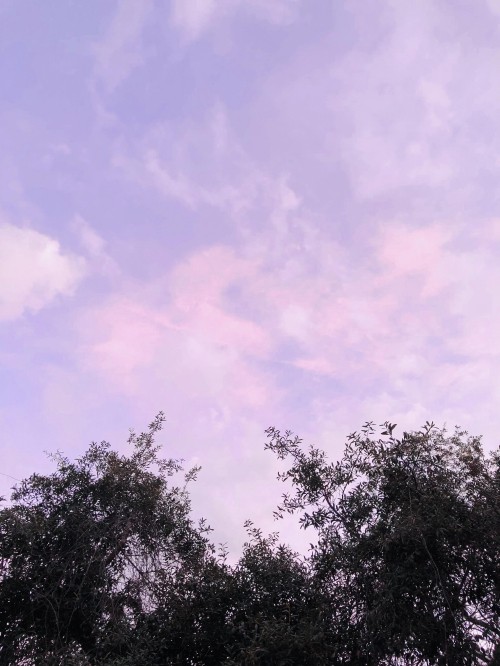 Image biology, Plants, cloud, natural landscape, purple