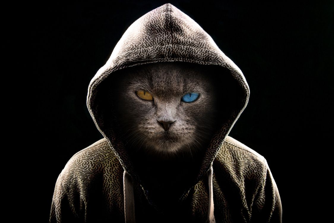 Mann im Grauen Hoodie Mit Blauen Augen. Wallpaper in 3900x2600 Resolution