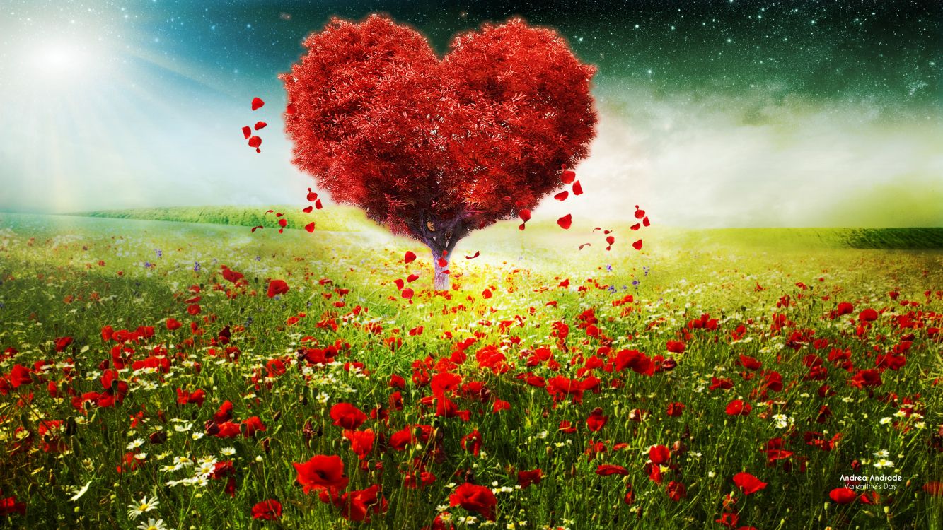 heart, valentines day, meadow, flower, valentines day landscape