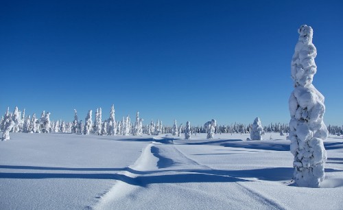 Image snow covered road during daytime